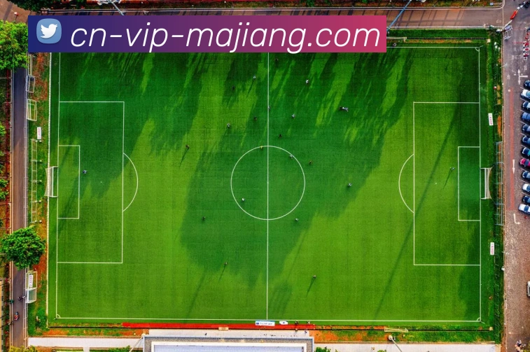 麻将胡了平台生态图